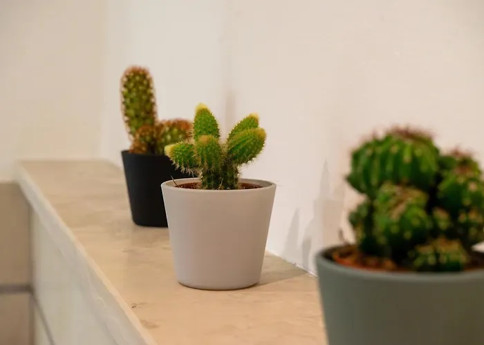 Il Nido Tra I Portici アパート *